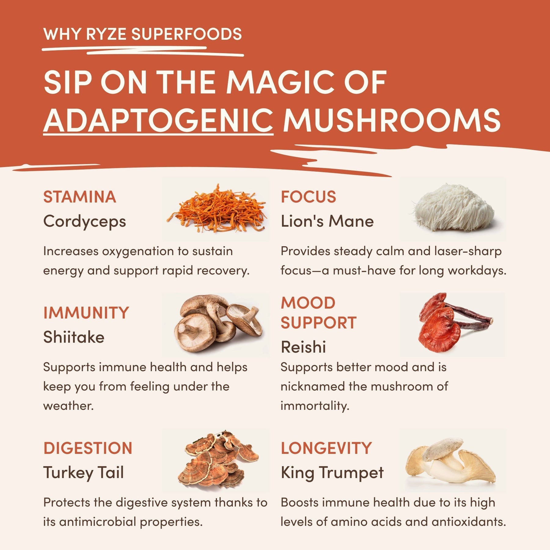 Superfood Creamer Fresh