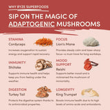Mushroom Chai Daily