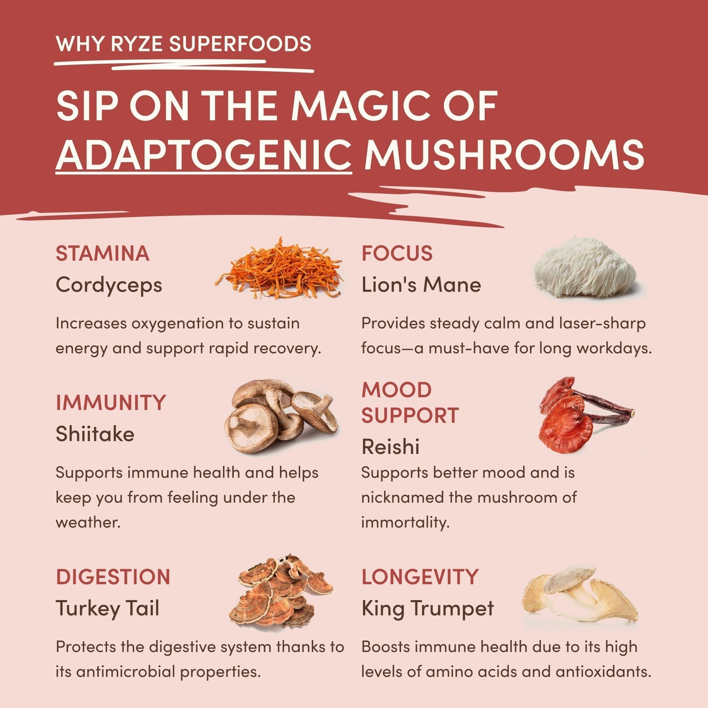 Mushroom Chai Daily