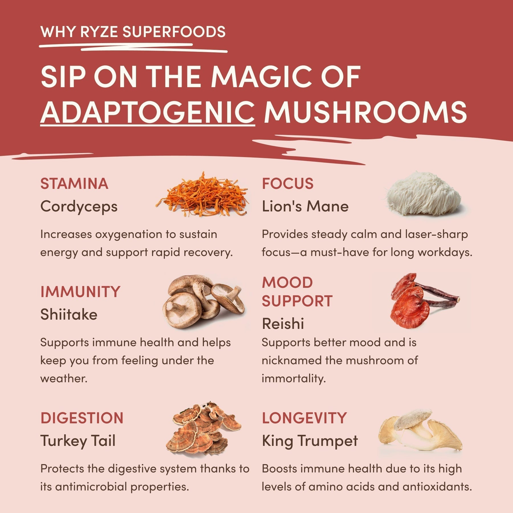 Mushroom Chai Daily